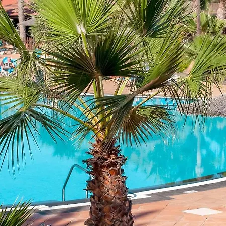 Oasis Fuerteventura Beach