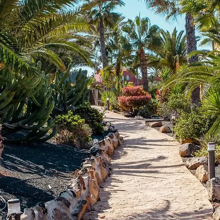 Apartahotel Oasis Fuerteventura Beach 3*