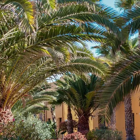 Oasis Fuerteventura Beach 3*