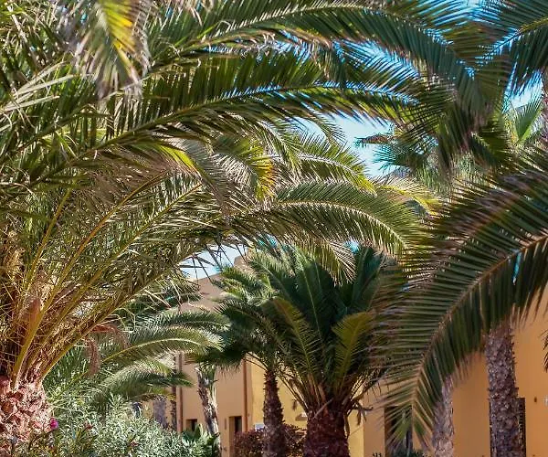 Oasis Fuerteventura 3*